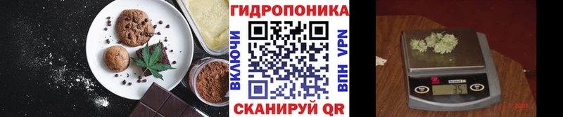 Canna-Cookies марихуана  Пудож 