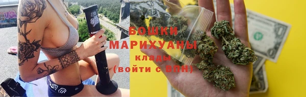 PSILOCYBIN Михайлов