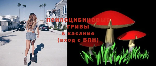 PSILOCYBIN Михайлов