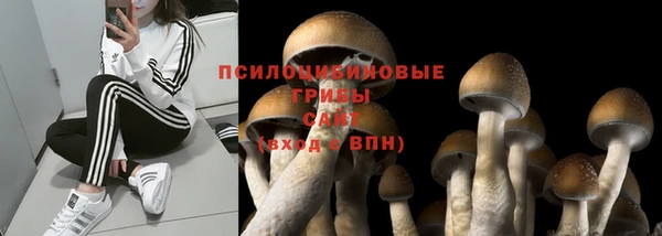 трава Михайловка