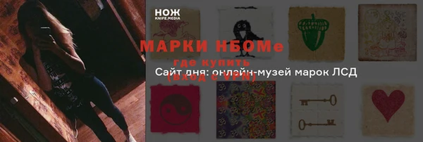 PSILOCYBIN Михайлов