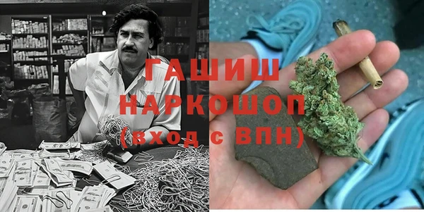 PSILOCYBIN Михайлов