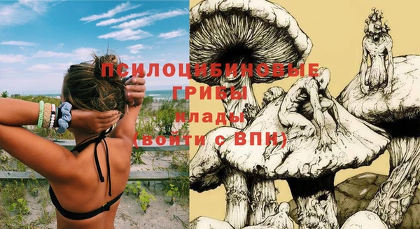 PSILOCYBIN Михайлов