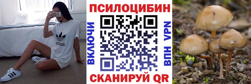 MEGA ССЫЛКА  Пудож  Галлюциногенные грибы Magic Shrooms 